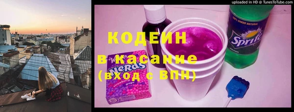 дмт Инта