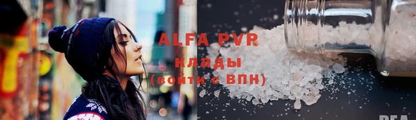 дмт Инта