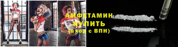 дмт Инта