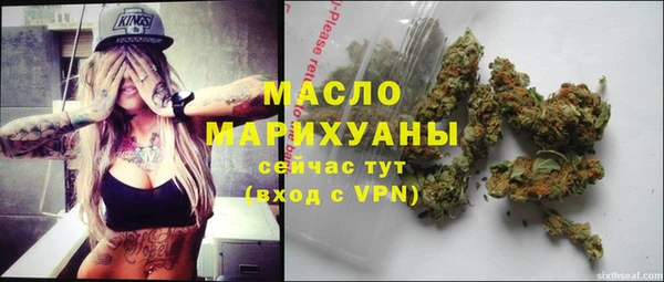 дмт Инта